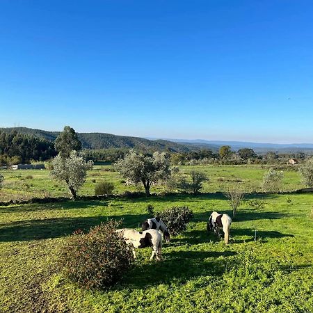 Quinta Da Barroca Do Cabo Bed & Breakfast Azere  Luaran gambar