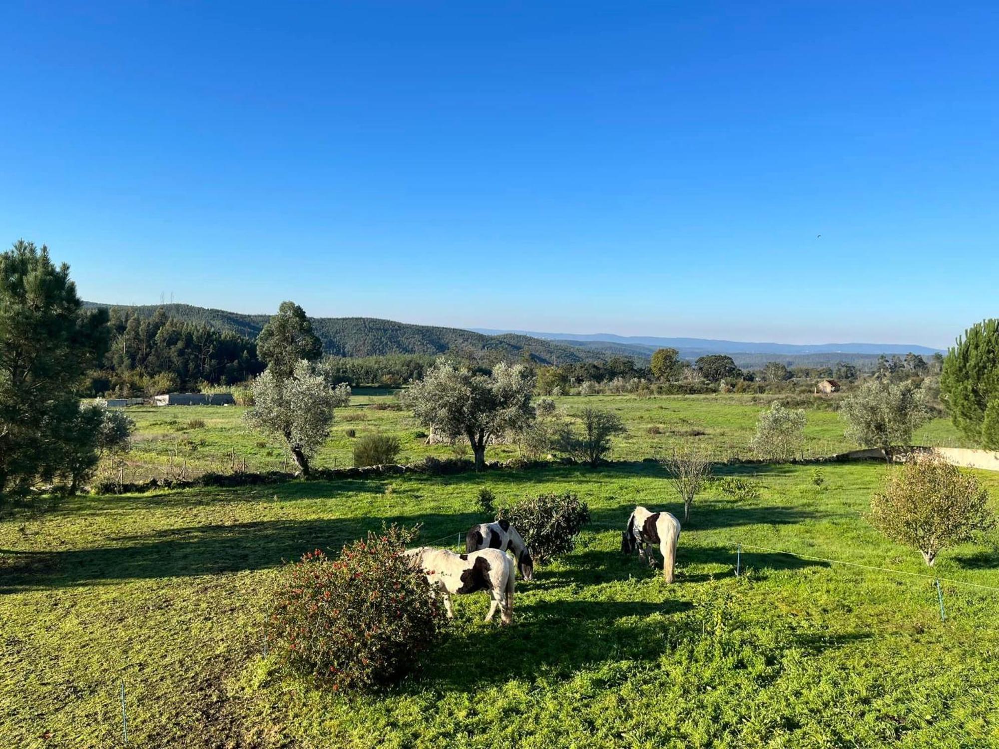 Quinta Da Barroca Do Cabo Bed & Breakfast Azere  Luaran gambar
